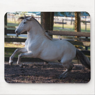 Charge Mousepad Muismat