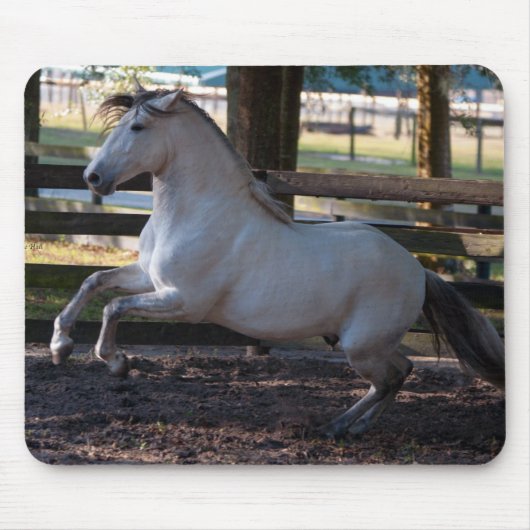 Charge Mousepad Muismat (Voorkant)