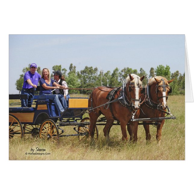 Chariot belge de cheval de trait (Devant horizontal)