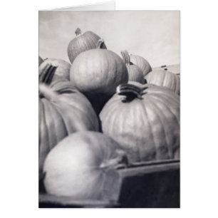 Chariot de citrouille