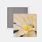 Charlemagne Echinopsis in bloom Magneet (Voorkant / Achterkant)