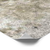 Charles Blondin - Acrobat Poster (Hoek)