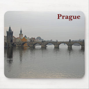 Charles Bridge, Praag Muismat