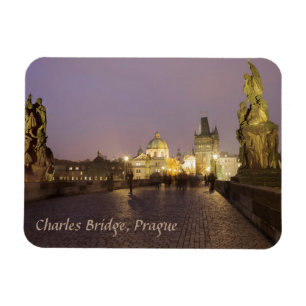 Charles Bridge, Praag souvenir foto Magneet