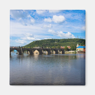 Charles Brige Magneet