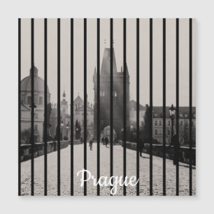 Charles-brug in Prague Magnet