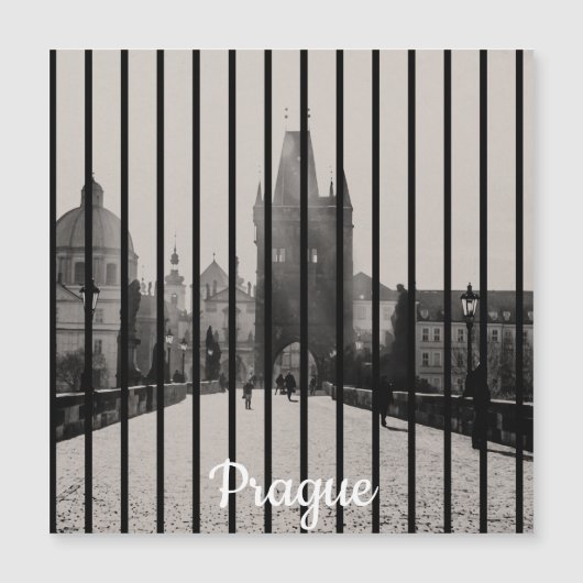 Charles-brug in Prague Magnet (Voorkant)