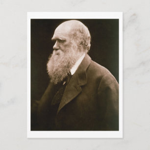 Charles Darwin (1809-82) (foto) Briefkaart