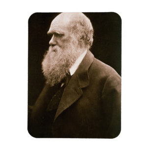 Charles Darwin (1809-82) (foto) Magneet