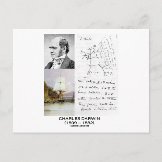 Charles Darwin (Darwin HMS Beagle Phylogenetics) Briefkaart (Voorkant)