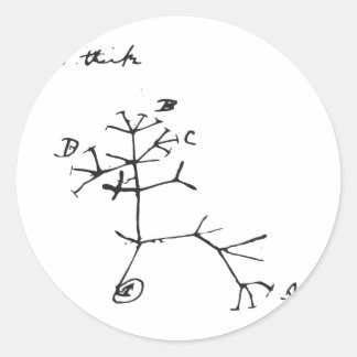 Charles Darwin - Ik denk (zwart) Ronde Sticker