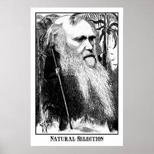 Charles Darwin - natuurlijke selectie Poster