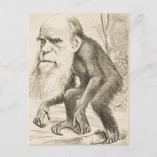 Charles Darwin Original Illustration Briefkaart (Voorkant)
