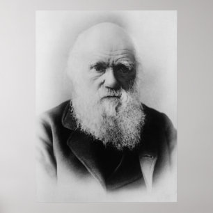 Charles Darwin Portrait van Elliott en Fry Poster