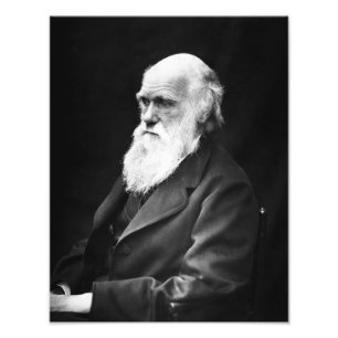 Charles Darwin Portret Foto Afdruk
