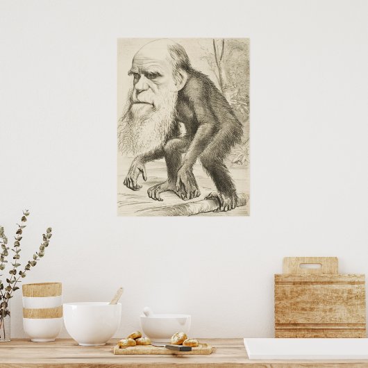 Charles Darwin Poster (Keuken)