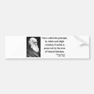 Charles Darwin Quote 6b Bumpersticker