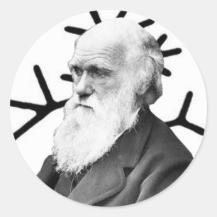 Charles Darwin Ronde Sticker