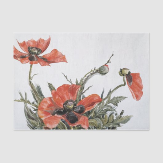 Charles Demuth | Rode papaver (1929) Tissuepapier (Voorkant)