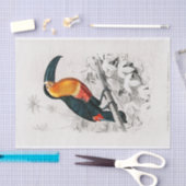 Charles Dessalines D'Orbigny | Toucan Tissuepapier (Craft)