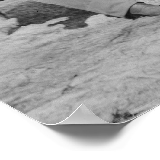 Charles Francis Adams Poster (Hoek)