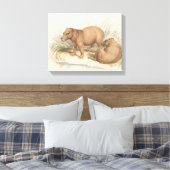 Charles Hamilton Smith - Het Capybara Canvas Afdruk (Insitu (Slaapkamer))