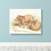 Charles Hamilton Smith - Het Capybara Canvas Afdruk (Insitu (Houten vloer))