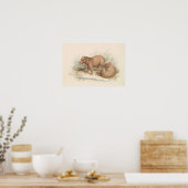 Charles Hamilton Smith - Het Capybara Poster (Keuken)