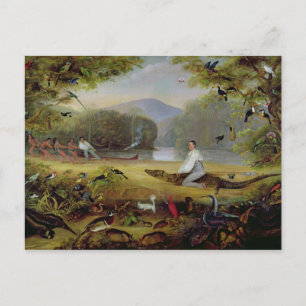 Charles Waterton die een kayman vangt, 1825-26 Briefkaart