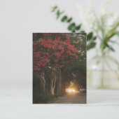 Charleston Cverkratle Myrtle Briefkaart (Staand voorkant)