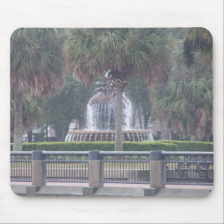 Charleston Fountain Muismat