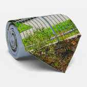 Charleston Harbour Cravate (Roulé)