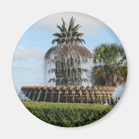 Charleston SC Ananas Fontein Magneet (Voorkant)