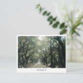 Charleston, SC Oak Trees Briefkaart (Staand voorkant)