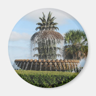 Charleston SC Pineapple Fountain Magnet Magneet