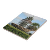 Charleston SC Pineapple Fountain Tegel Tegeltje (Zijkant)