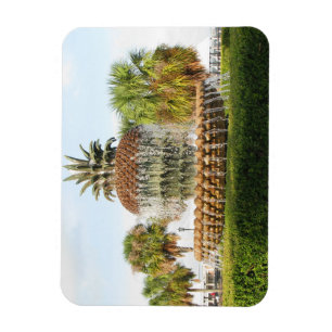 Charleston SC Pineapple Fountain, Waterfront Park Magneet