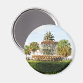 Charleston SC Pineapple Fountain, Waterfront Park Magneet (Voorkant / Achterkant)