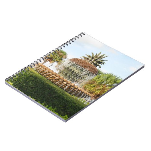 Charleston SC Pineapple Fountain, Waterfront Park Notitieboek (Linkerzijde)