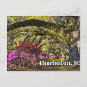 Charleston, South Carolina Spring Botanical Garden Briefkaart