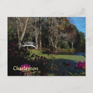 Charleston Swamp Garden Briefkaart