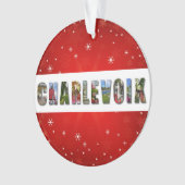 Charlevoix Michigan Photos de voyage Noël (devant)