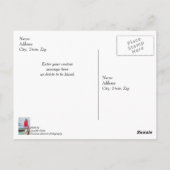 Charlevoix South Pierhead Lighthouse Briefkaart (Achterkant)