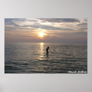 Charli op de strand poster