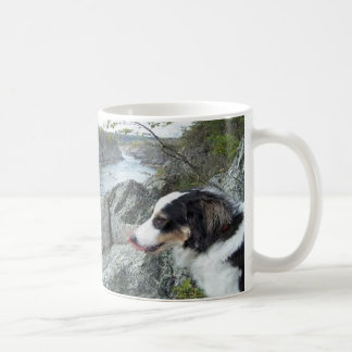 "Charlie at Great Herfsten"~Border Collie Mok