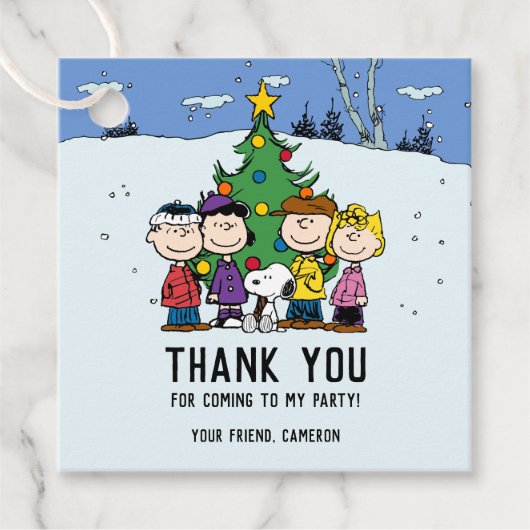 Charlie Brown en Friends Winter Birthday Bedankjes Labels (Voorkant)
