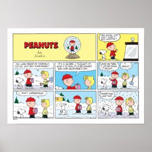 Charlie Brown   Sneeuwbol Poster