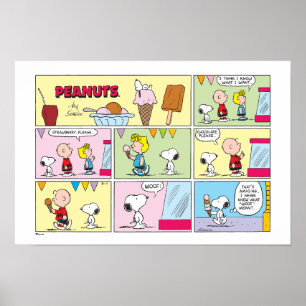 Charlie Brown, Snoopy & Sally Ijs Poster