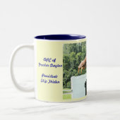 Charlie.jump.40inch, la tasse du saut d'ofGreater (Gauche)