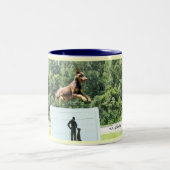 Charlie.jump.40inch, la tasse du saut d'ofGreater (Centre)